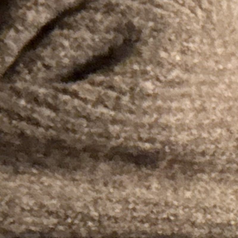 Illustration du profil de Vanhelst Ludovic