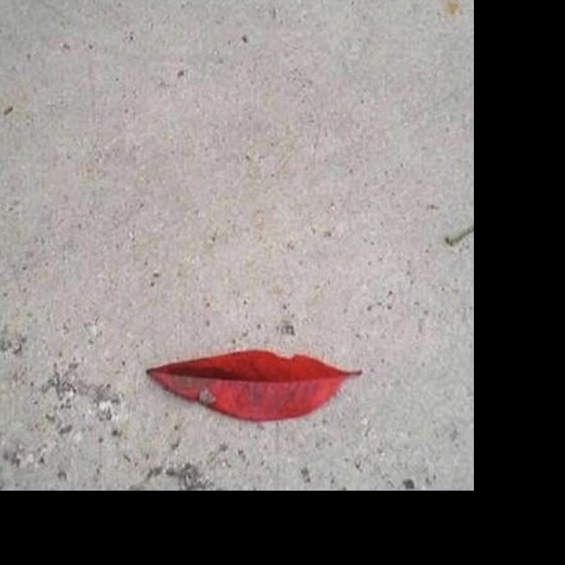 Illustration du profil de Cortes Nicole